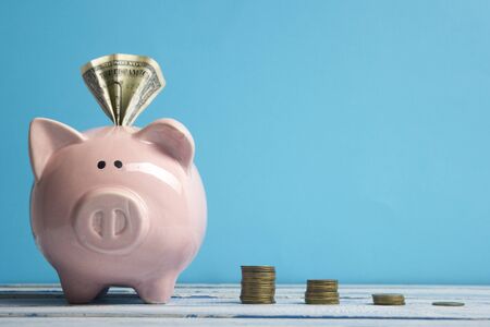 Piggy bank and golden coin. Savings and finance conceptの写真素材