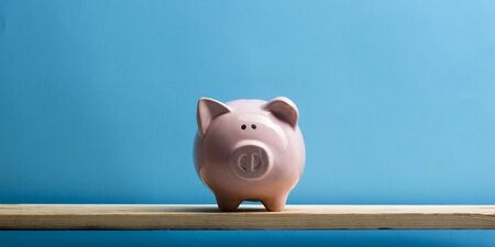 Piggy bank and dollar cash money. Business, finance, investment, saving and corruption conceptの写真素材