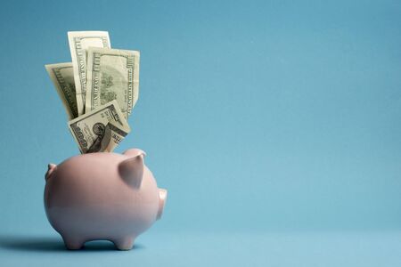 Piggy bank and dollar cash money. Business, finance, investment, saving and corruption concept.の写真素材
