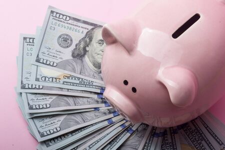 Piggy bank and dollar cash money. Business, finance, investment, saving and corruption concept.の写真素材