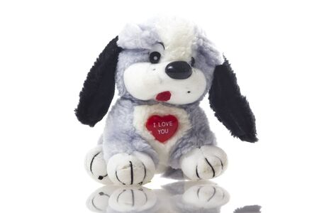 Cute puppy toy isolated on white background.の写真素材