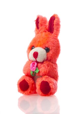 sitting rabbit toy romatic gift isolated on white backgroundの写真素材