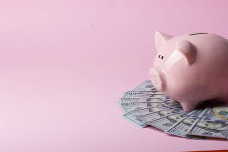Piggy bank and golden coin. Savings and finance conceptの写真素材