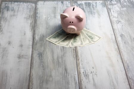 Piggy bank and golden coin. Savings and finance conceptの写真素材