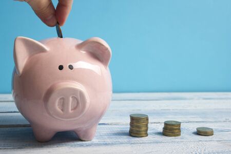 Piggy bank and dollar cash money. Business, finance, investment, saving and corruption concept.