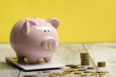 Piggy bank and dollar cash money. Business, finance, investment, saving and corruption concept.の写真素材
