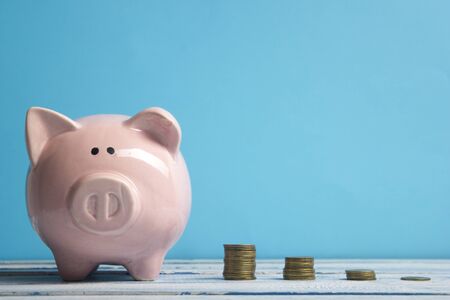 Piggy bank and dollar cash money. Business, finance, investment, saving and corruption concept.の写真素材