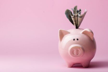 Piggy bank and dollar cash money. Business, finance, investment, saving and corruption conceptの写真素材