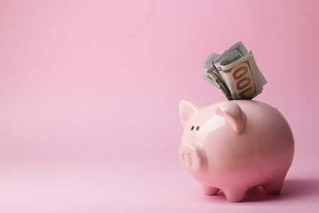 Piggy bank and dollar cash money. Business, finance, investment, saving and corruption concept.の写真素材