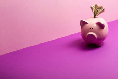 Piggy bank and dollar cash money. Business, finance, investment, saving and corruption conceptの写真素材