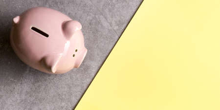 Piggy bank and dollar cash money. Business, finance, investment, saving and corruption conceptの写真素材