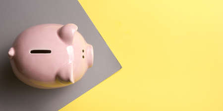 Piggy bank and dollar cash money. Business, finance, investment, saving and corruption conceptの写真素材