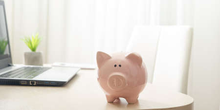 Piggy bank and dollar cash money. Business, finance, investment, saving and corruption conceptの写真素材