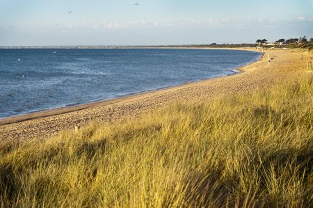 Australian beachの写真素材
