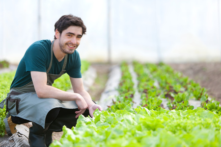 View of a Young attractive farmer verify progress of cultureの写真素材