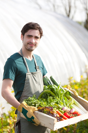 View of a Young happy farmer with a crate full of vegetableの写真素材
