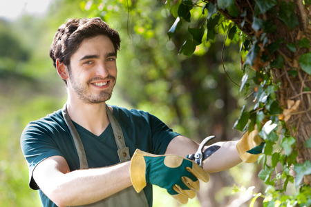 View of a Young attractive gardener cutting leavesの写真素材