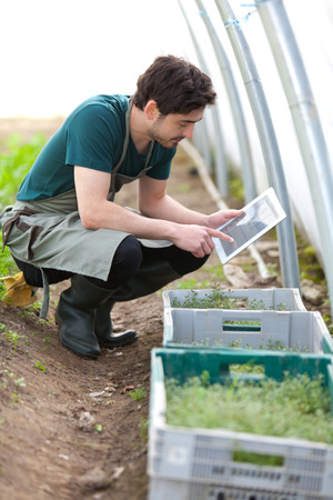 View of a Young business farmer working on his tabletの写真素材