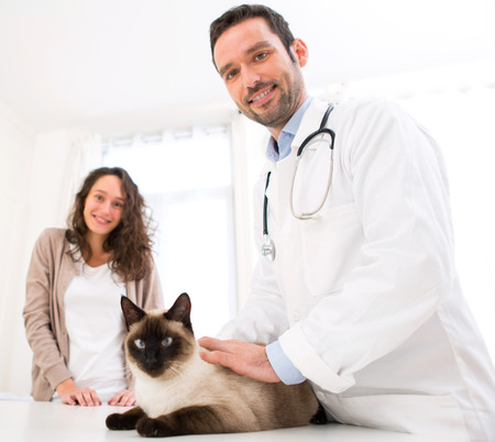 View of a Young attractive woman and her cat at veterinaryの写真素材
