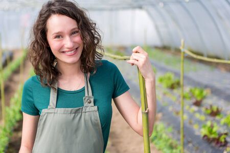 View of an attractive farmer in a greenhouseの写真素材