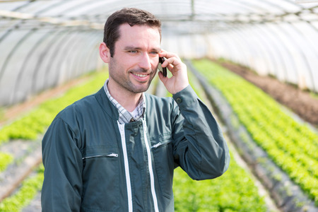 View of a Portrait of an attractive farmer in a greenhouse using mobileの写真素材