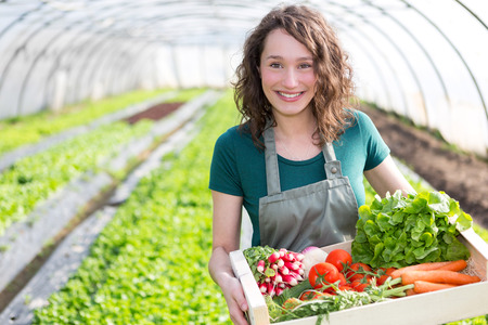View of an Young attractive woman harvesting vegetable in a greenhouseの写真素材