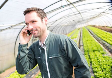 View of a Portrait of an attractive farmer in a greenhouse using mobileの写真素材