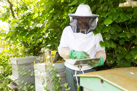 View of a Beekeeper handling a tablet in front of beehivesの写真素材