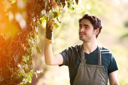 View of a Young business farmer working at the farmの写真素材
