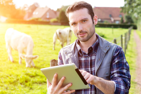 View of a Young attractive farmer in a field with cowsの写真素材