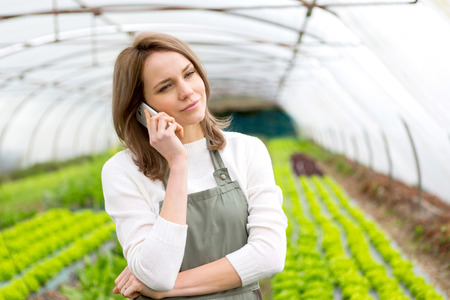 View of an attractive farmer in a greenhouse using mobileの写真素材