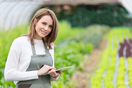View of an attractive farmer in a greenhouse using tabletの写真素材
