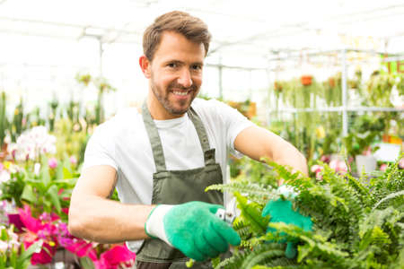 View of a Young attractive florist cutting leaves of a plantの写真素材