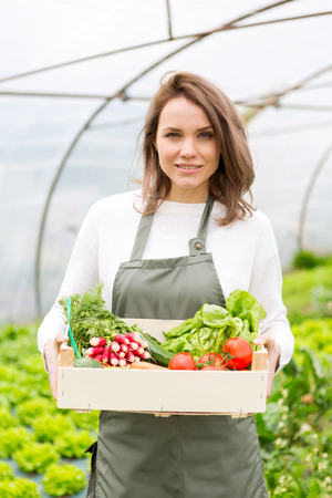View of a Young attractive woman collecting vegetable in a greenhouseの写真素材
