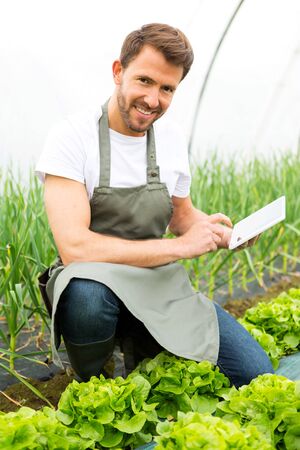 View of an attractive farmer in a greenhouse using tabletの写真素材