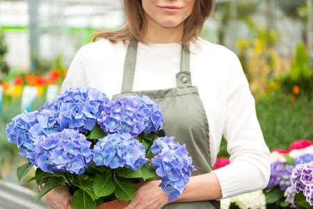 View of a Details of flowers in florist woman's handの写真素材