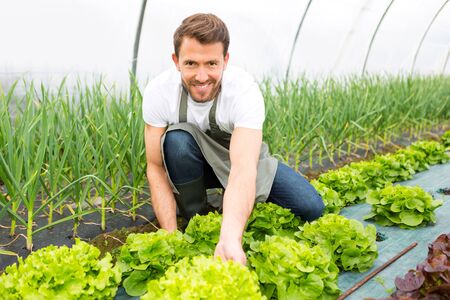 View of a Young attractive farmer checking quality of vegetablesの写真素材