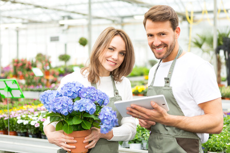 View of a Team of florist working together at the plants nurseryの写真素材