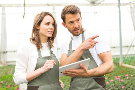 View of a Team of florist working together at the plants nurseryの写真素材