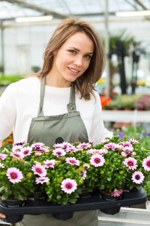 View of a Young attractive woman working at the plants nurseryの写真素材