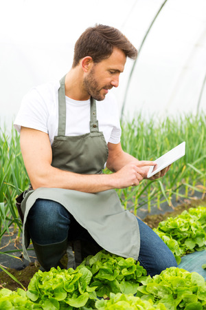 View of an attractive farmer in a greenhouse using tabletの写真素材