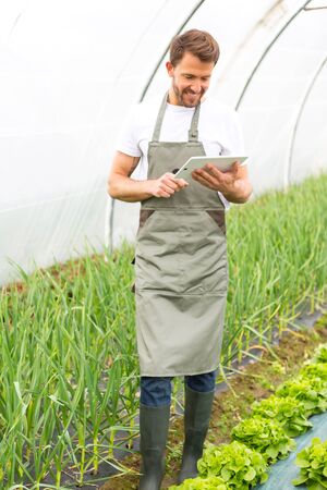 View of an attractive farmer in a greenhouse using tabletの写真素材