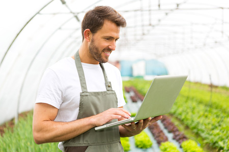 View of an attractive farmer in a greenhouse using laptopの写真素材
