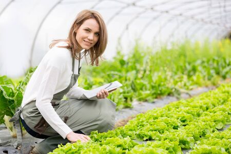 View of an attractive farmer in a greenhouse using tabletの写真素材