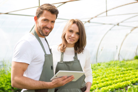 View of a Farmers working on a tablet after collecting vegetablesの写真素材