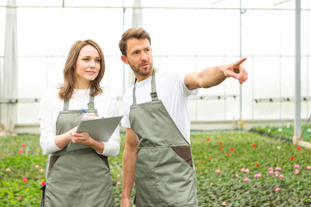 View of a Team of florist working together at the plants nurseryの写真素材