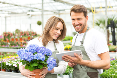 View of a Team of florist working together at the plants nurseryの写真素材