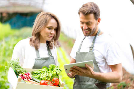 View of a Farmers working on a tablet after collecting vegetablesの写真素材