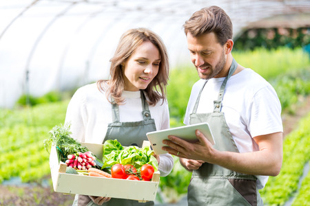 View of a Farmers working on a tablet after collecting vegetablesの写真素材