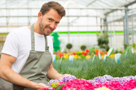 View of a Young attractive man working at the plants nurseryの写真素材